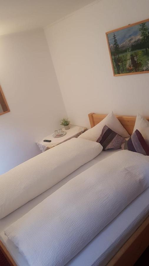 Pensiunea Casa Munteanu Râșnov Extérieur photo